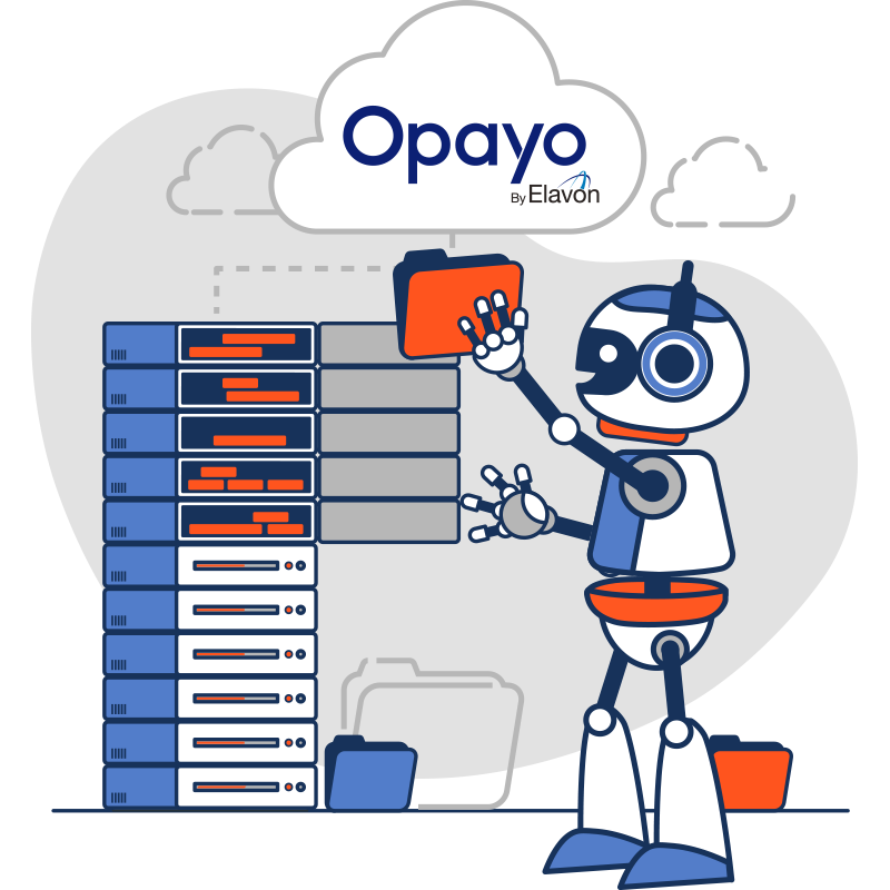 Opayo Server